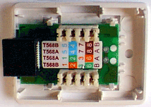 Socket RJ-45 with the removed cover